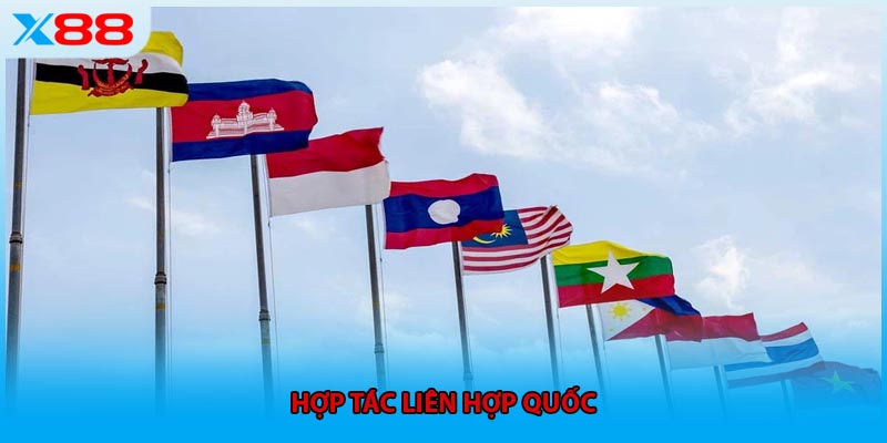 Hợp tác Liên Hợp Quốc